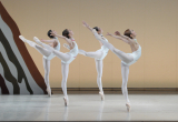 7. Sinfonie Uwe Scholz - Tokyo City Ballet 2013     Foto: Takashi Shikama