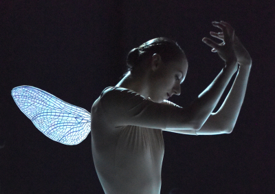 Nijinski, Gauthier Dance 2016
