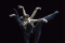 Black Swan Pas de Deux